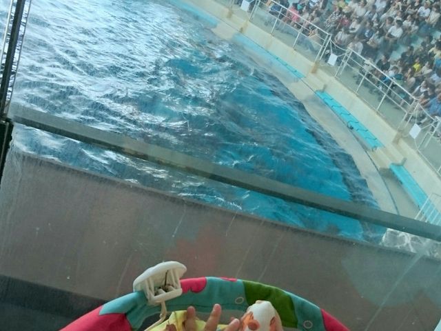 ���֎s�������̂��������فE�C����