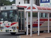 artnekȍI[uoXЂ̓eʐ^1