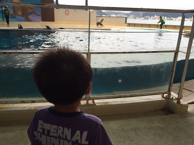 �C���J�V���[�͔��͖��V�ł��B_���֎s�������̂��������فE�C����