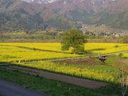 1962̓̉w Ԃ̉wEȐ̓eʐ^2