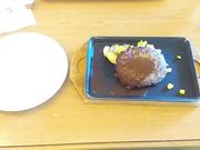 ���傤����̃W���C�t���L�ƓX�̓��e�ʐ^1