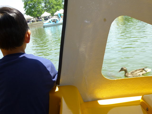 �X�����{�[�g����_��t�������̗t����