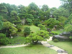 IMOTI����̒��l�~�~�W�ւ̓��e�ʐ^1