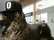 ܂܂̃P[jqXN[l OzX̓eʐ^1