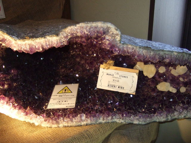 �傫�ȃA���W�X�g����_��Δ�����