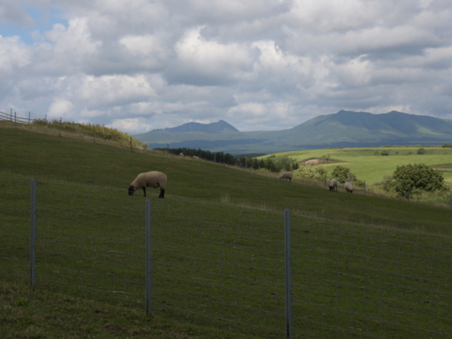 a猩A΂̃JCkvijƐʊxiEj_a