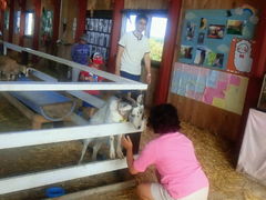 ܂̃A[Xh[pR_ւ̓eʐ^1