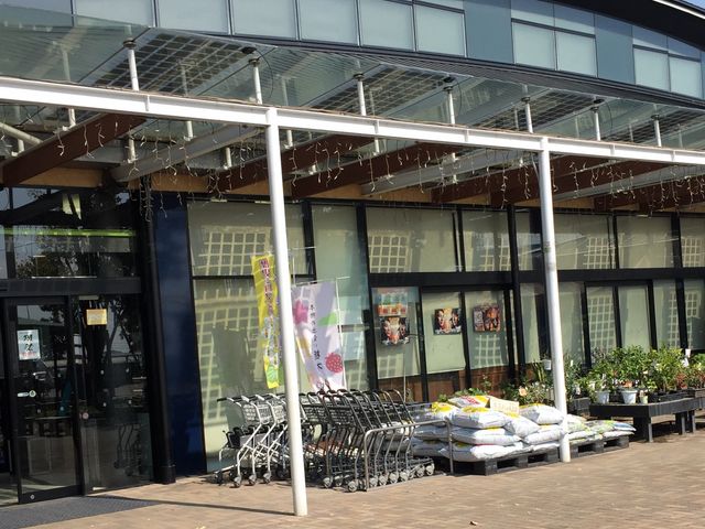 �y���ɂȂ�ƁA�X�ɍ���ł��܂��B_���̉w ������