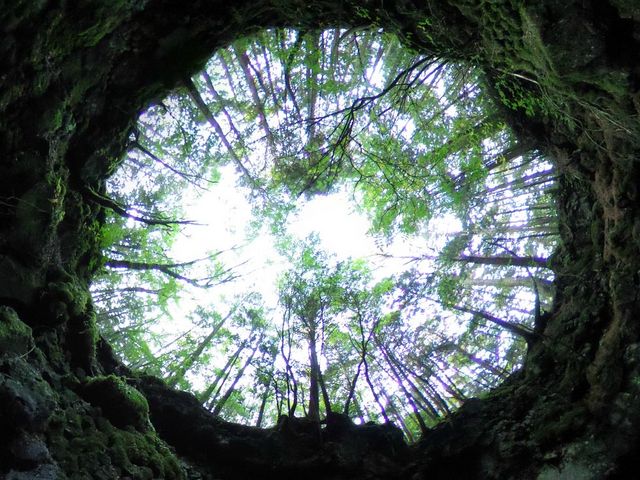 ��������C�����グ��_THE�@HIGHEST�@PEAK