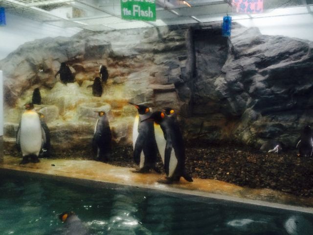 �y���M��_���R������