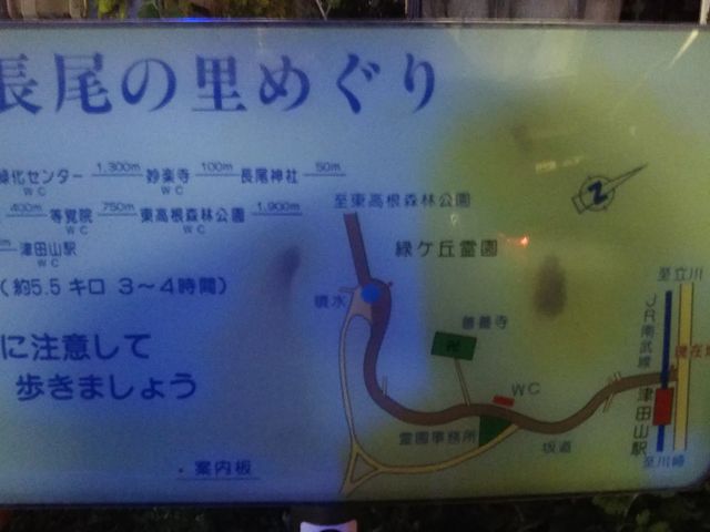 cJ擙X͂̏Zl̗΃Pu쉀̍̓eʐ^1