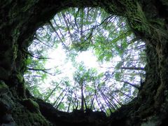 Ƃ񂳂THE@HIGHEST@PEAKւ̓eʐ^1