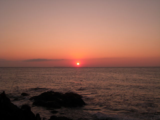 ���̏o���ꂢ�ł���_�[���z��