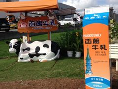 ����������̂������P�P�W�ւ̓��e�ʐ^1