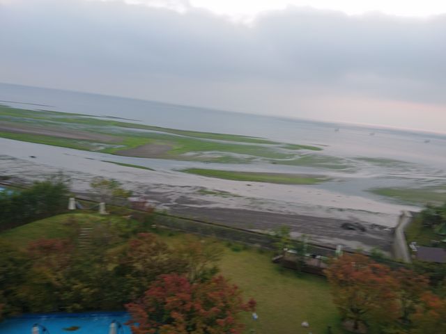 �L���C�ɒ���������@�|��������i�C���I�V�̏h�@��������@�앗�O