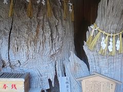 ނ̐__ЂƐΐ_ւ̓eʐ^1