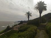 �͂��߂���̖x�ؓ��̃t�F�j�b�N�X�̓��e�ʐ^1