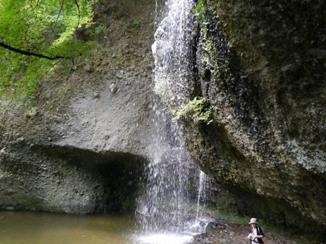 ���X�ׂ̗ɂ����_���҂̑���݂���