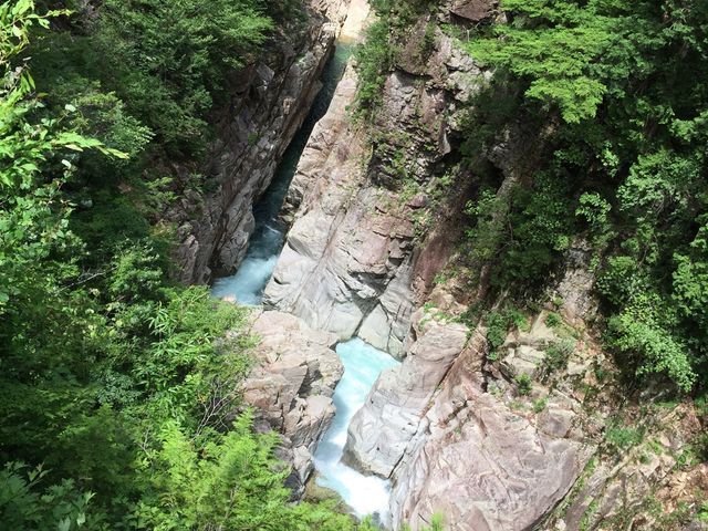 �k�J_��Y�k�J