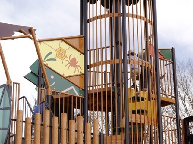 Ղ邯񂳂̔͊ւ̐X̓eʐ^1