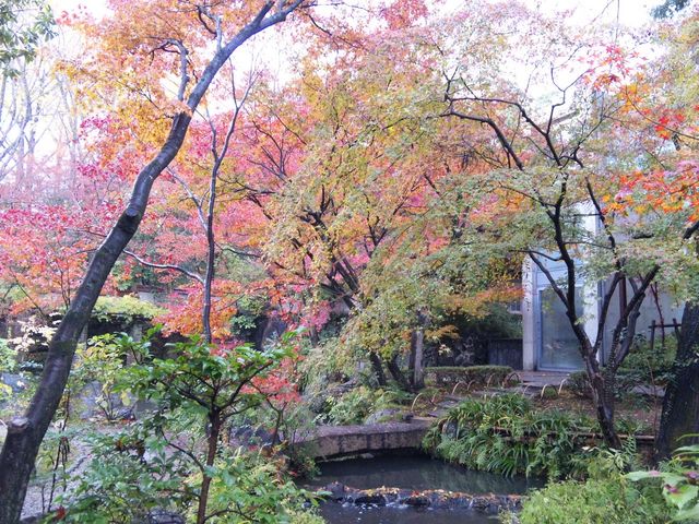 �g�t_�A�T�q�r�[����R��R�����p��