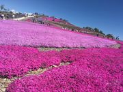 ف[񂳂̎ō̋u̓eʐ^1