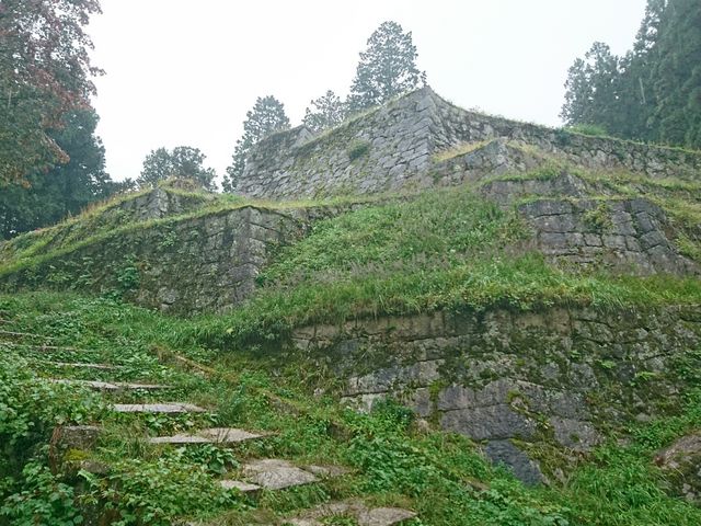 �f���炵���Ί__�⑺���