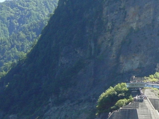 �����_���̌i�F_�����_�� ���X