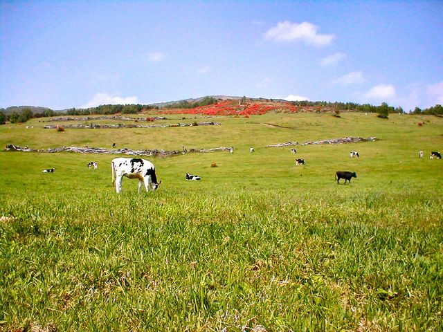 ̂̍qxEq̃QccW̓eʐ^1