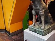 񂲂񂳂̃^[R[haJX̓eʐ^1