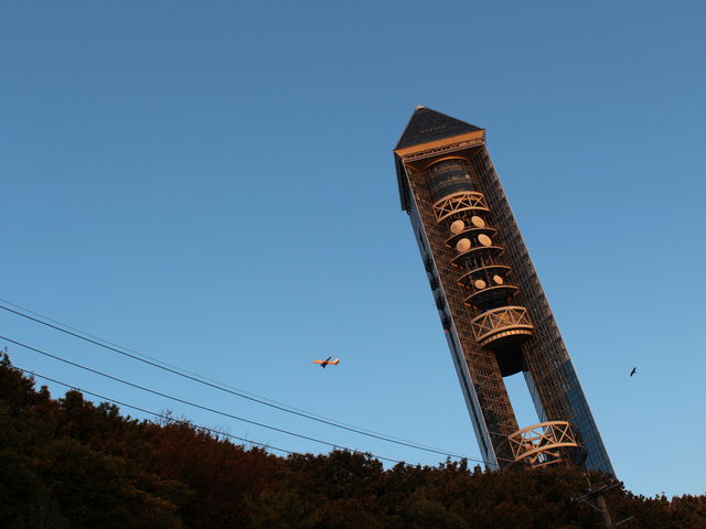 ���R�X�J�C�^���[