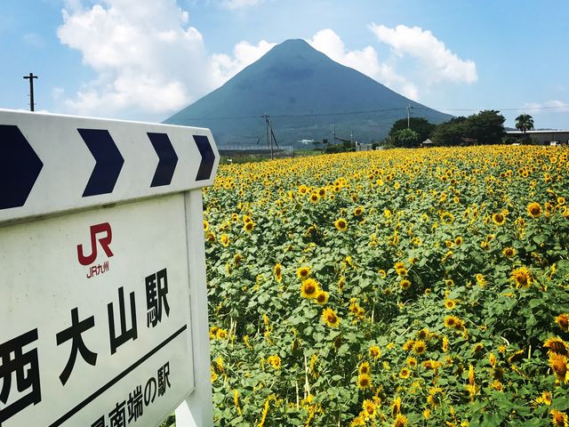 �q�}������_JR����R�w