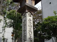 miyosiko����̋����R���ւ̓��e�ʐ^1