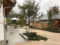 bambi̕xm΃nieXւ̓eʐ^2