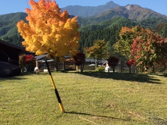 �����������A���v�X�𒭂߂�_�M�B�܂��퉷��@������