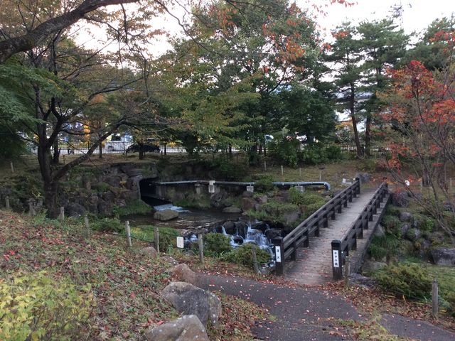 �������̋��ł�_���̉w ������e������