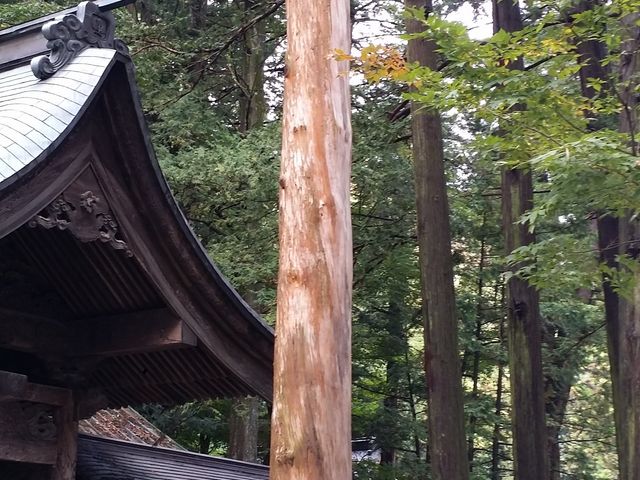 ��؁@�z�K�_�Ёi��t�����R�s�j