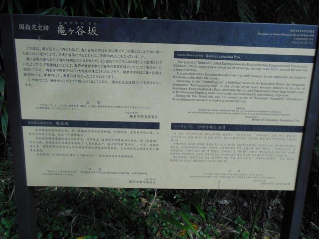 �Ŕ�_�T���J��ؒʂ�