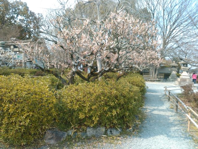 �~_�����V���{�@�������r