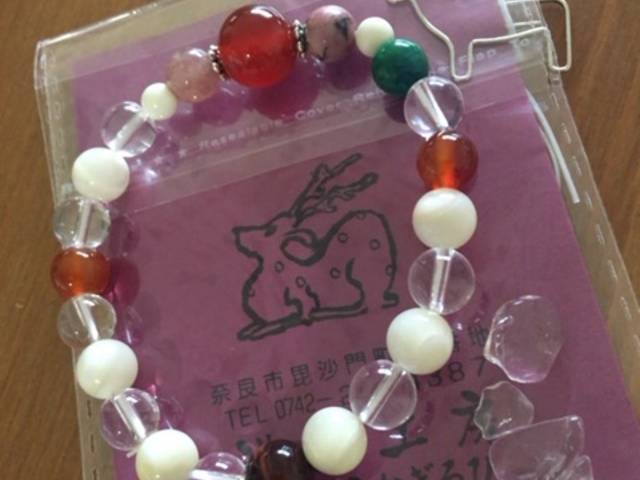 �����܂�_�V�I�H�[zoo���������