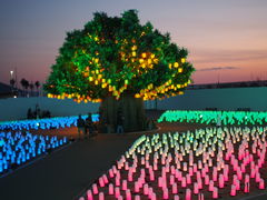 񂳂̃O[ie{X OiVAւ̓eʐ^1