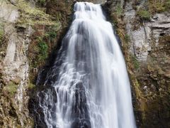 ܂[܂񂳂̔ԏւ̓eʐ^1