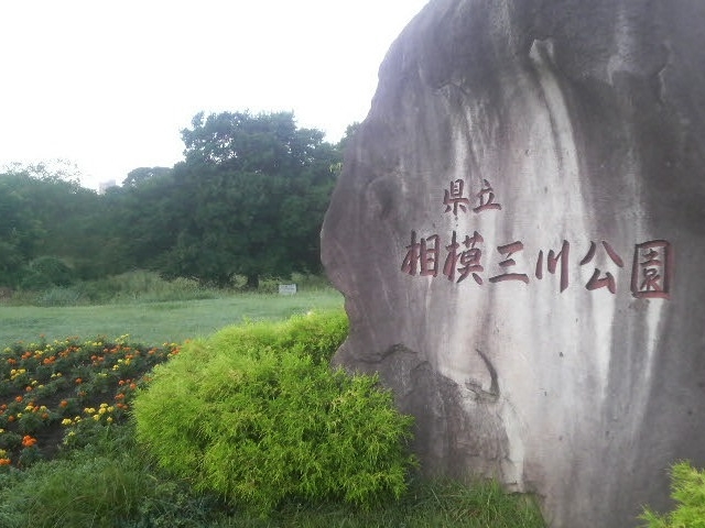 �������͎O������ɂ���Ă��܂���_�_�ސ쌧�����͎O�����