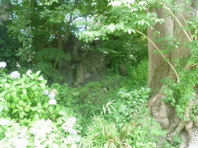 �n���_�����@�Ղ̗n���