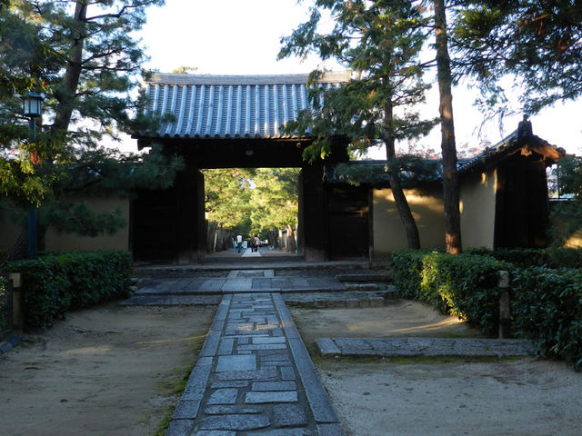 �����`��_�哿��