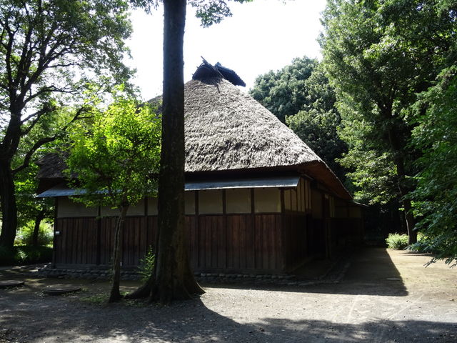 Ɉ͂܂ėC_jƁi]˓Ẳj