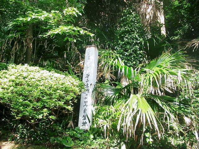 JOE����̌Êق̃r���E�����n�̓��e�ʐ^1