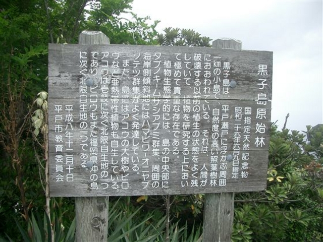 JOE����̍��q�����n�т̓��e�ʐ^1