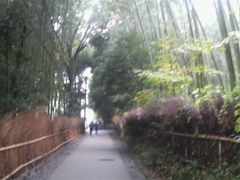 Ƃ񂳂̒|т̓ւ̓eʐ^1