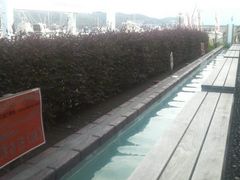 Ƃ񂳂̉Ou܂`ȁvւ̓eʐ^2